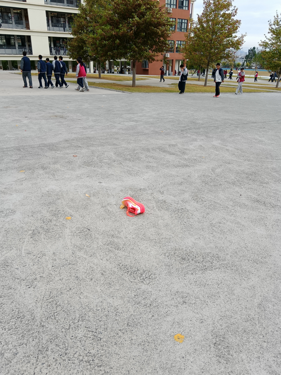 早上放月假,6天,学生兴奋的连鞋子都掉了一只,[awsl]