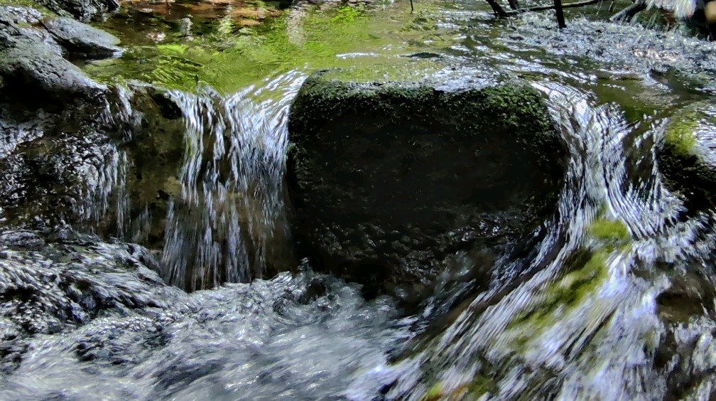 夏日避暑纳凉的好去处,罗城水上相思林
