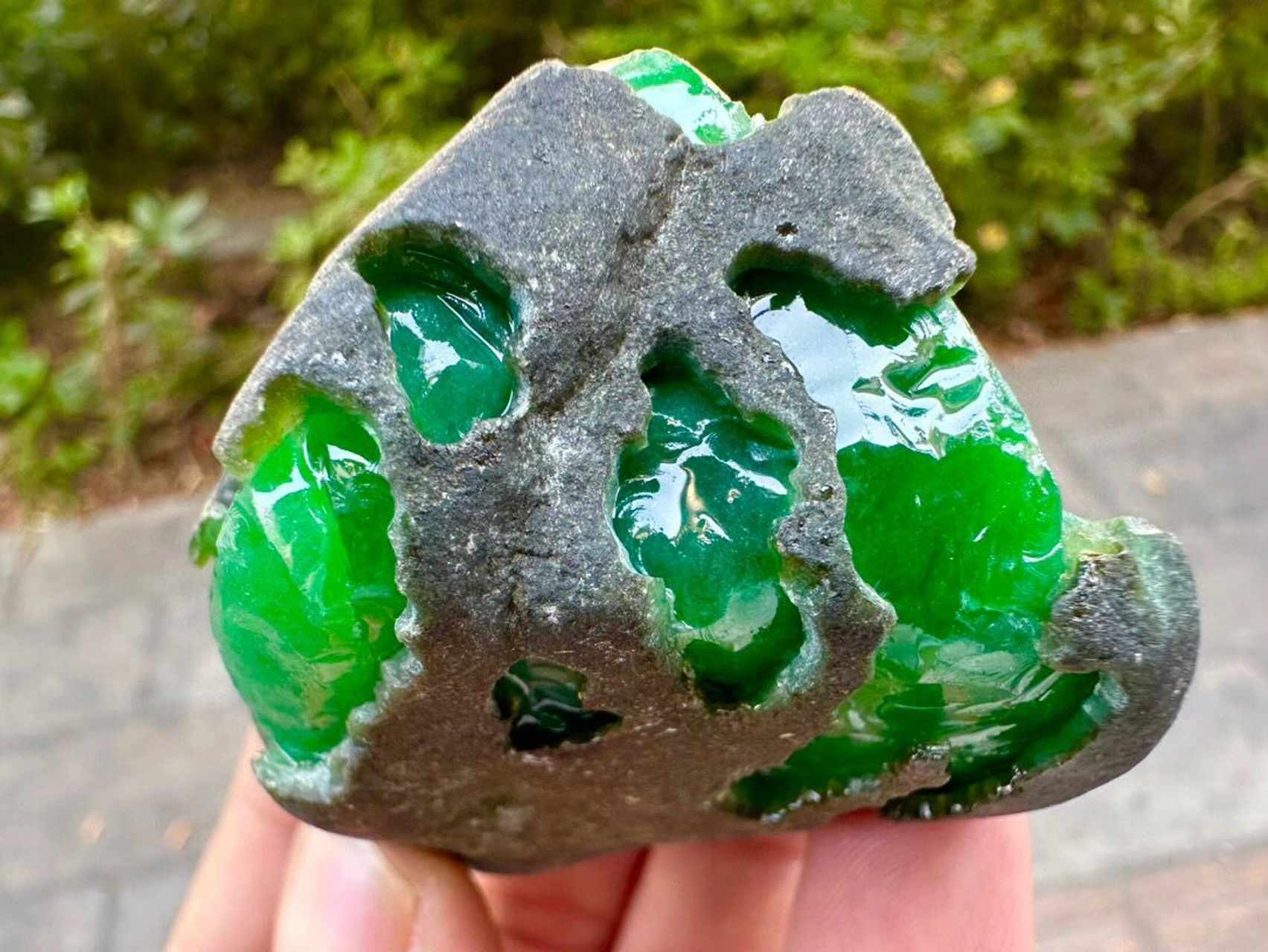 翡翠原石# #点击头像看直播# 120克精品老坑莫湾基超大面积开窗冰阳绿