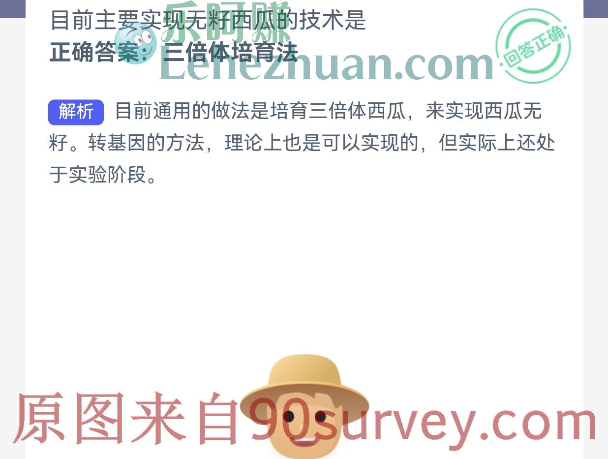 目前主要实现无籽西瓜的技术是？正确答案：三倍体培育法