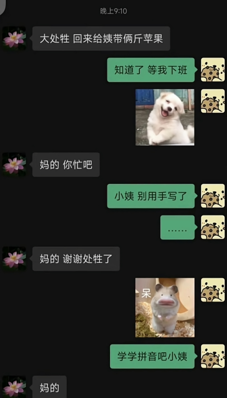 侄子:小姨,你别手写了,还是学学拼音吧!