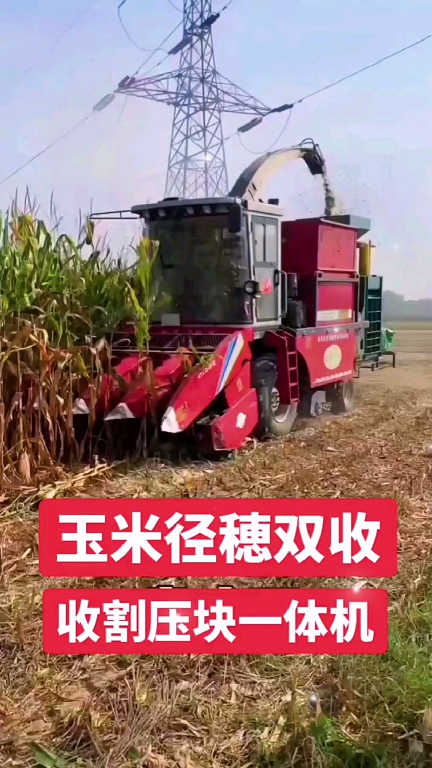 收玉米棒扒皮把秸秆粉碎揉丝压块青储一体机