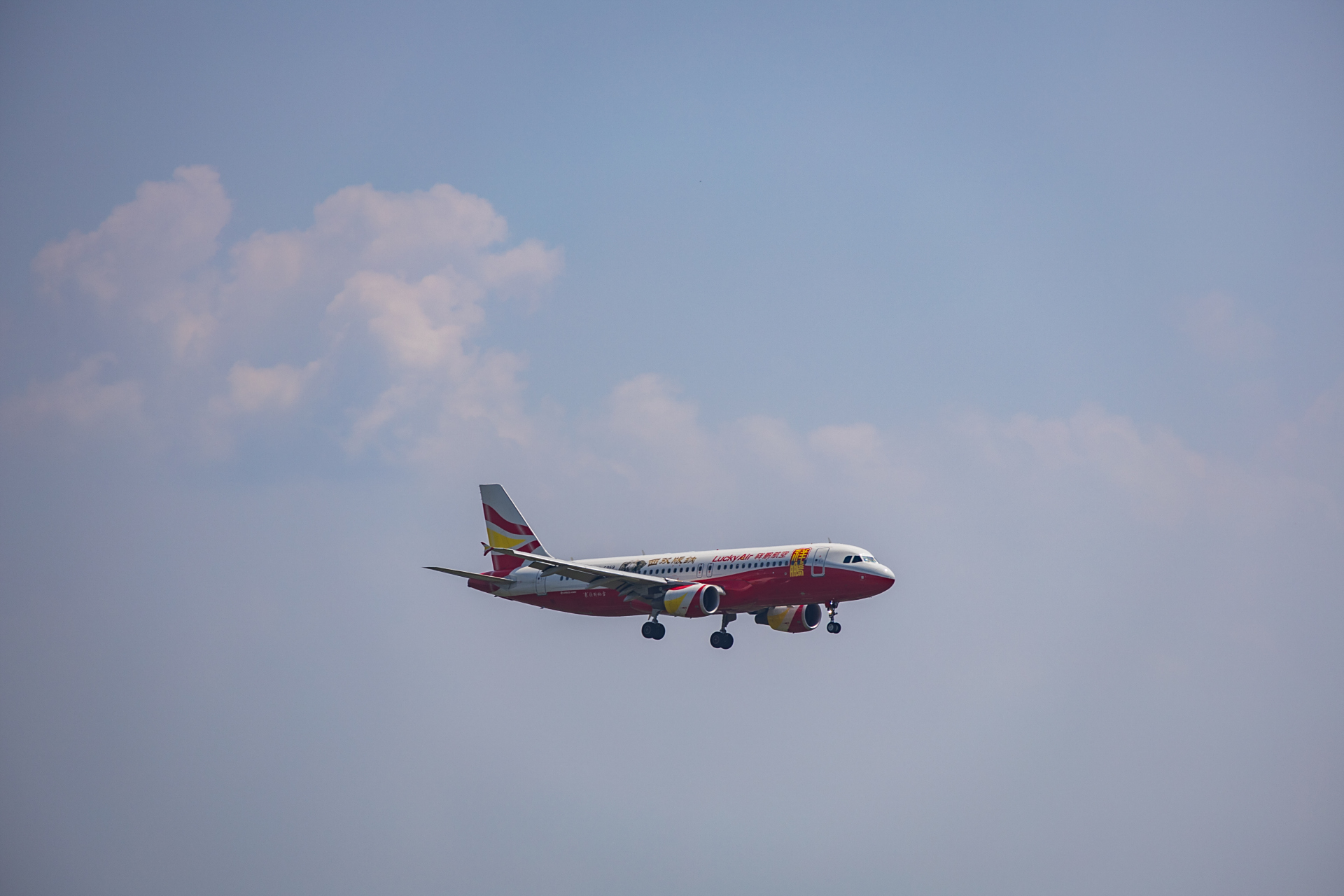 祥鹏航空西双版纳彩绘客机,空客a320