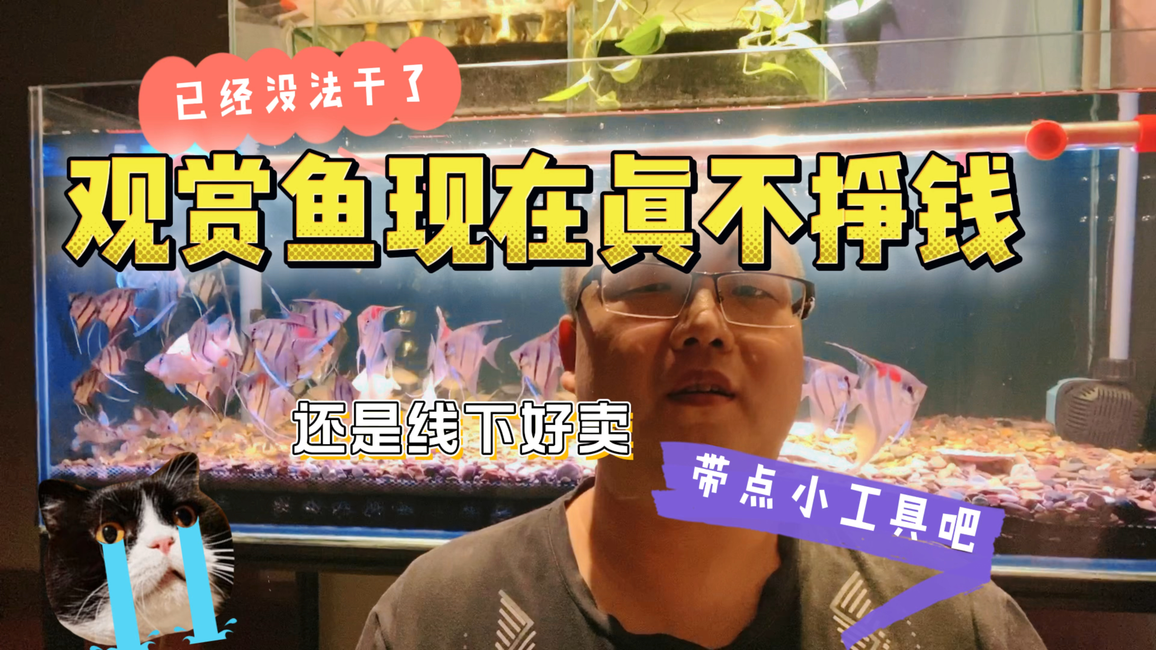 观赏鱼现在这行情真是太难干了，真不挣钱，一年到头也挣不了500w