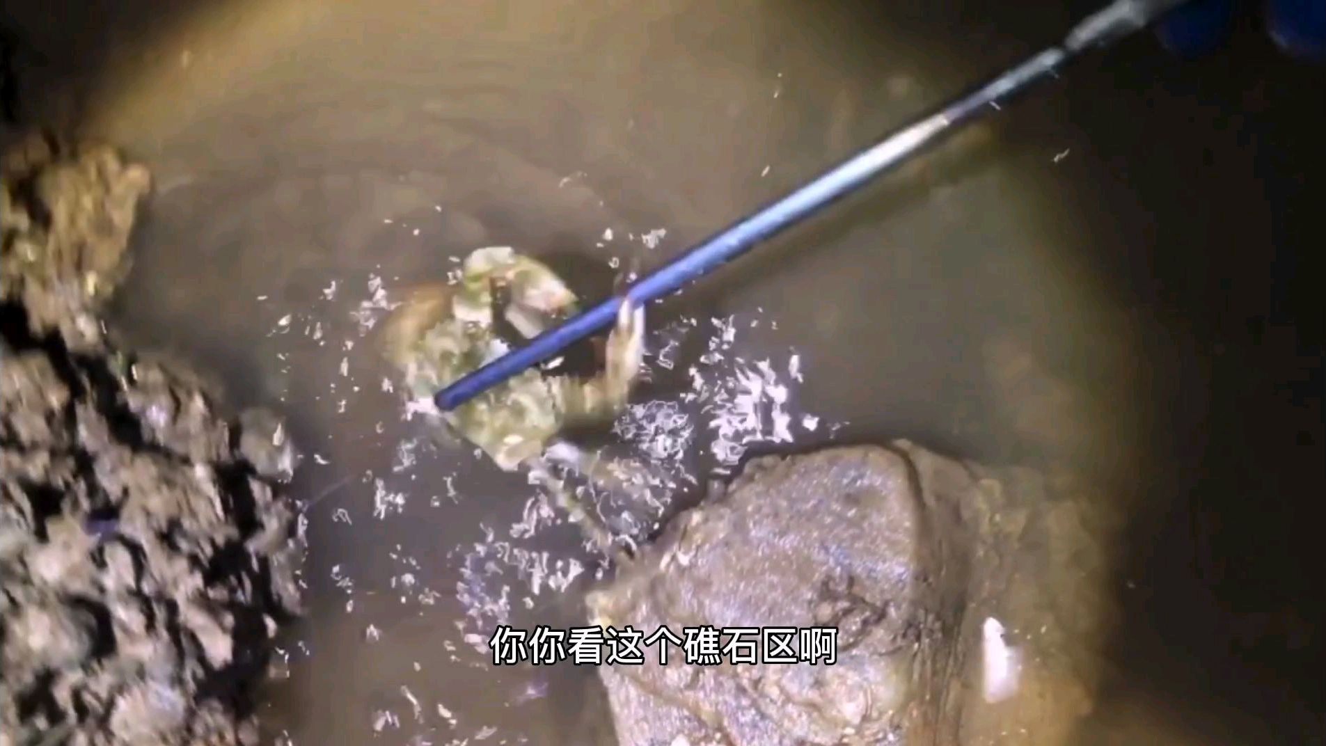 孤岛赶海抓螃蟹,好多小鱼小虾懒得抓,一个小时就收获这么多