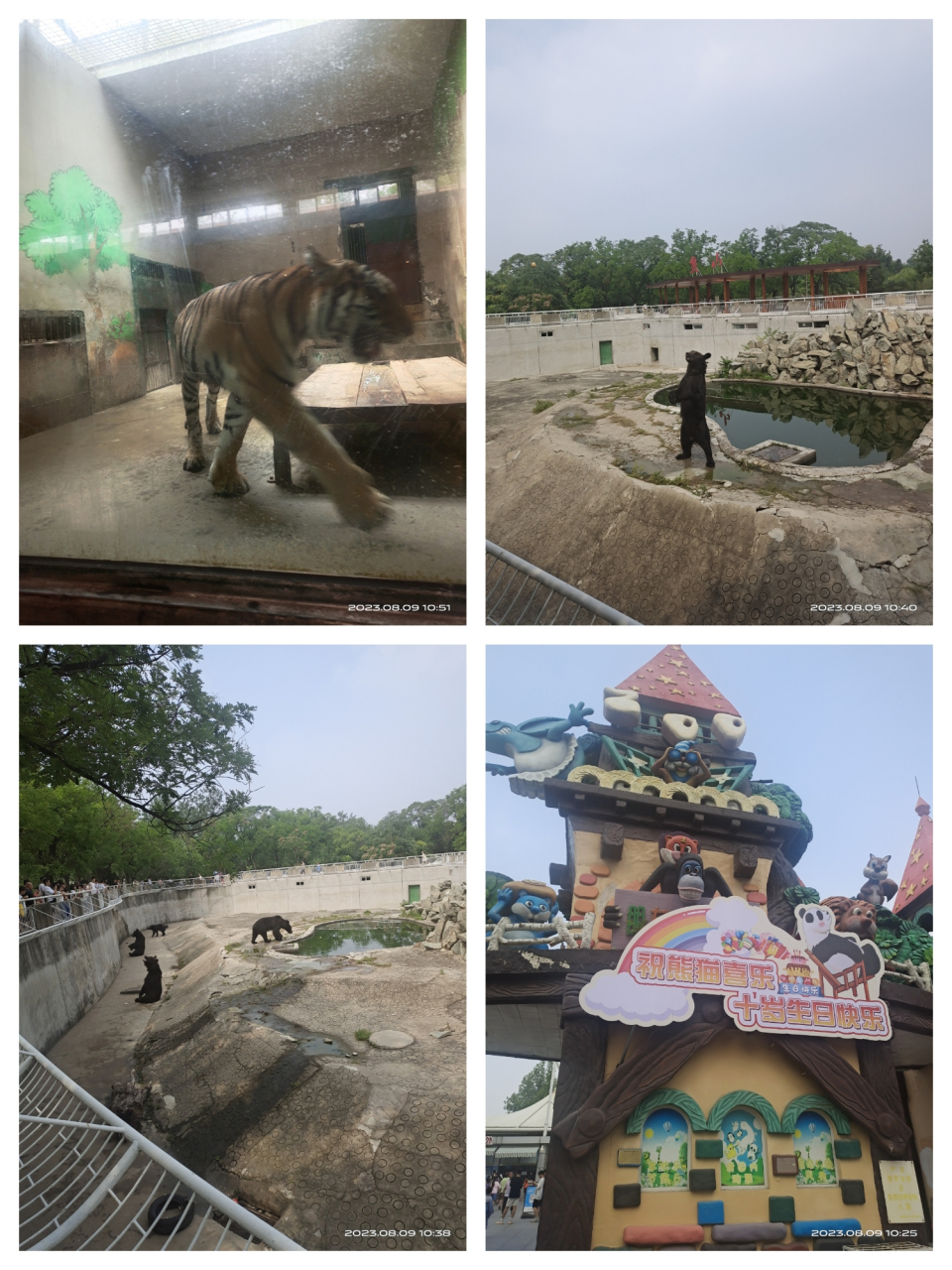 《天津动物园门票》成人票30元,退伍军人免票这一点值得点赞,要知道