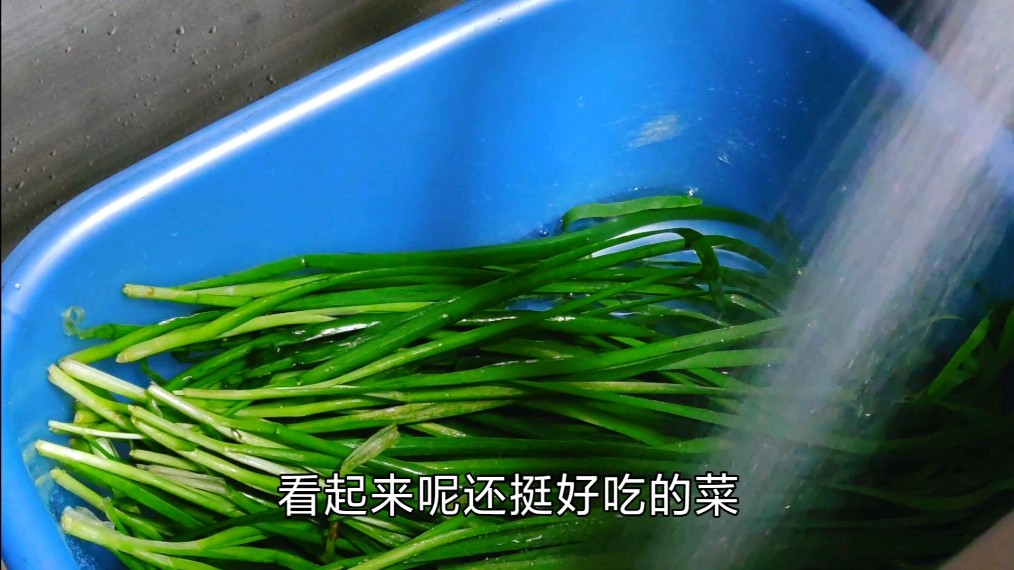 刚学会的韭菜炒豆芽的升级版,两块钱炒了一盘,游马日常学做饭
