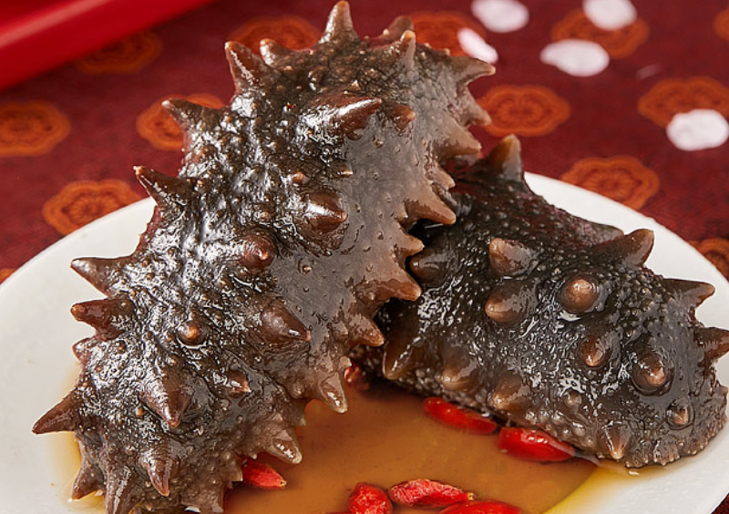 素海参与海参的区别?