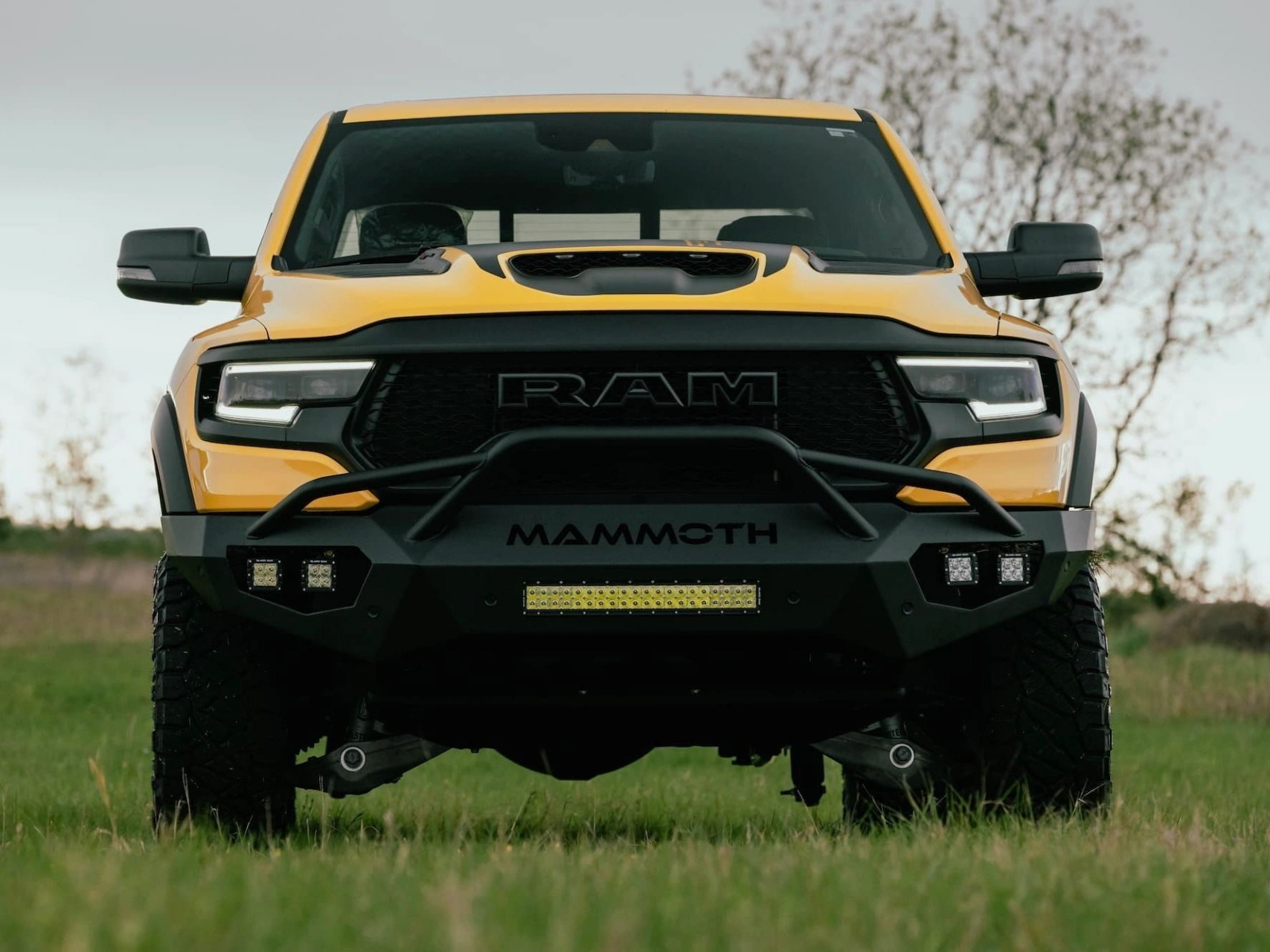 多一点色彩的生活更有趣#道奇霸王龙# #皮卡改装