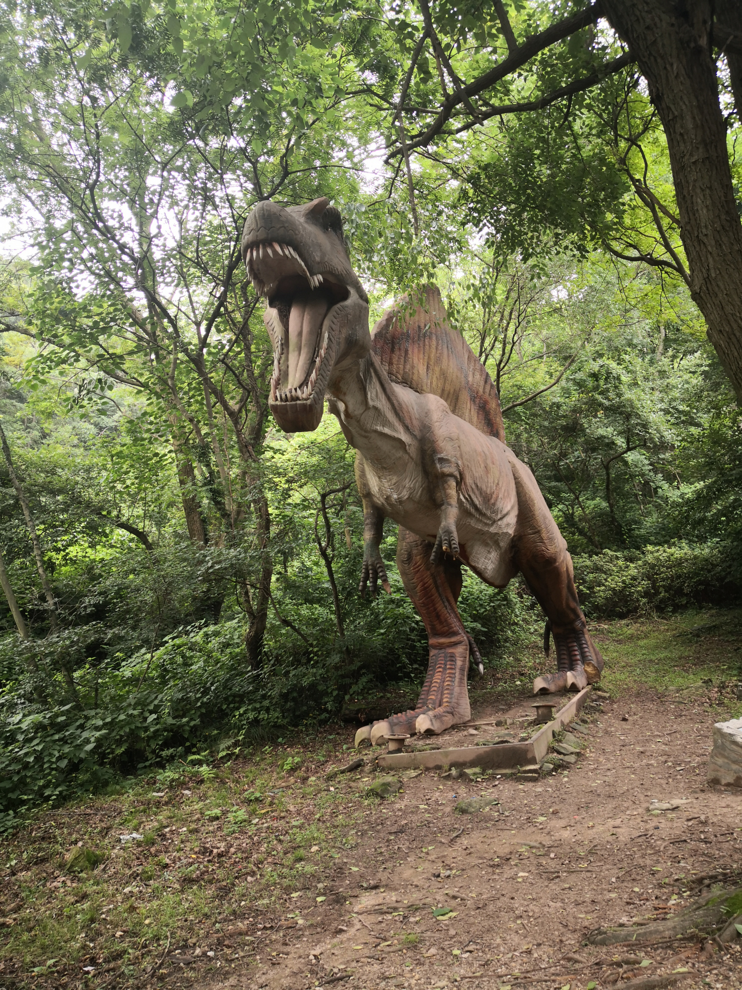 云雾山恐龙谷,设备似乎不维护,可不管怎样孩子们喜欢就够了