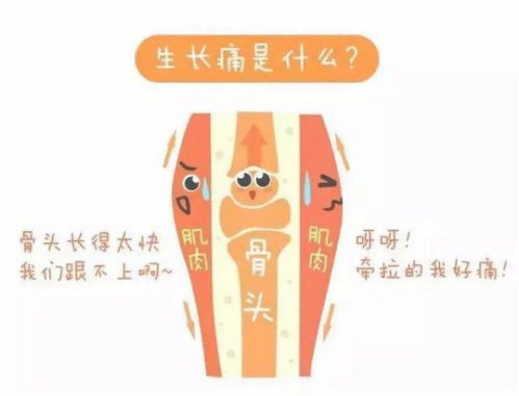 孩子出现生长痛怎么办?  最近经常听到孩子说:"妈妈,我腿特别疼.