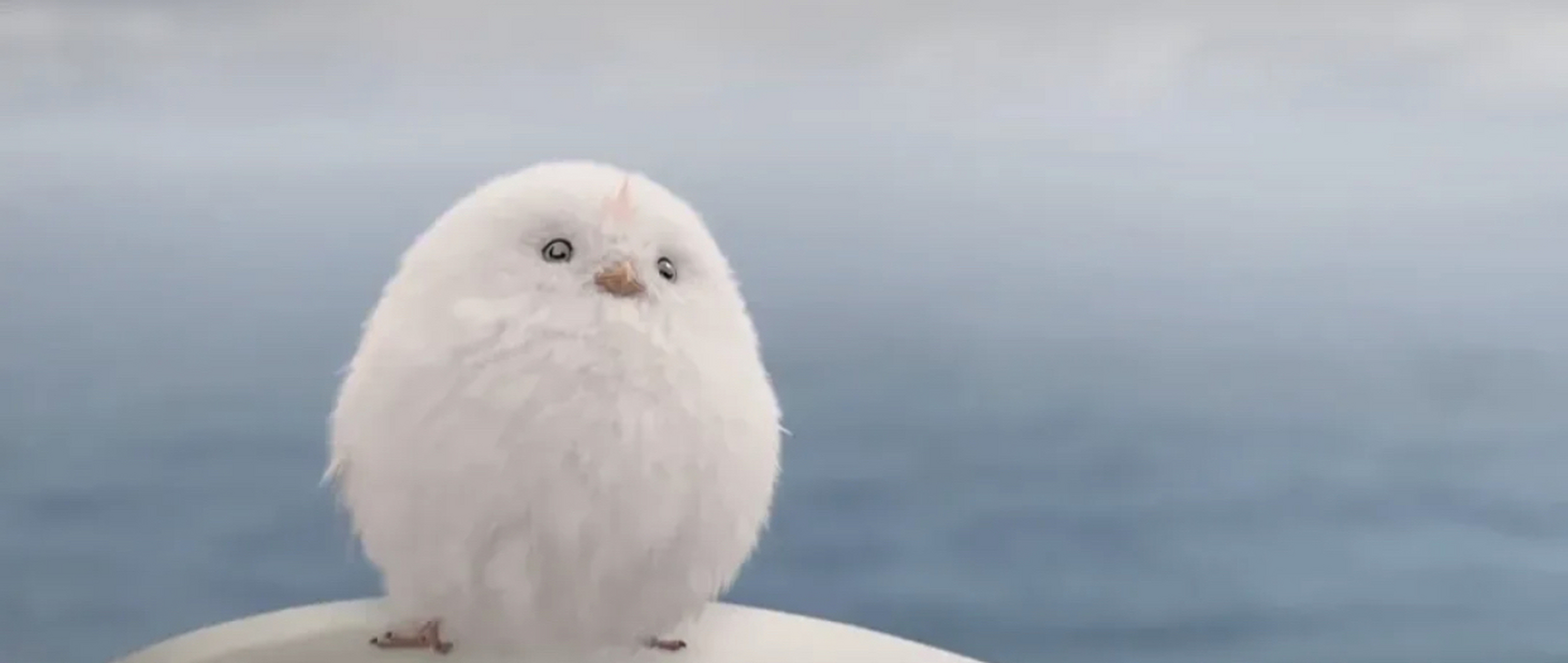 作为剧中的宠物,它拥有温柔可爱的特质,擅长讨人欢心.