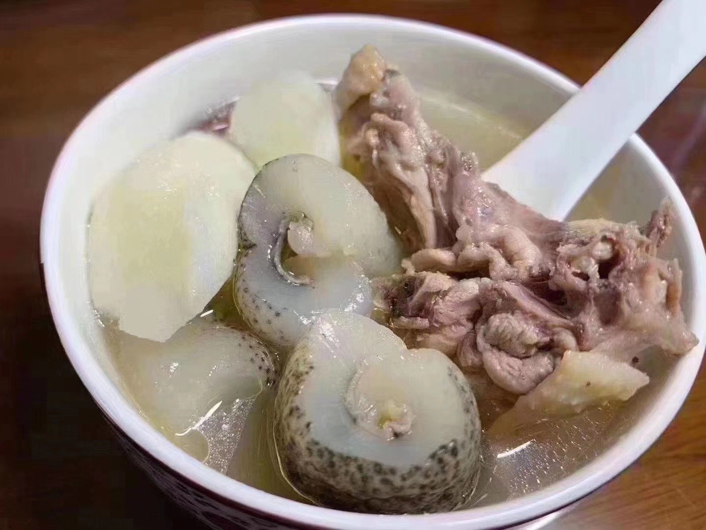 猪婆参 黄玉参 明秃参