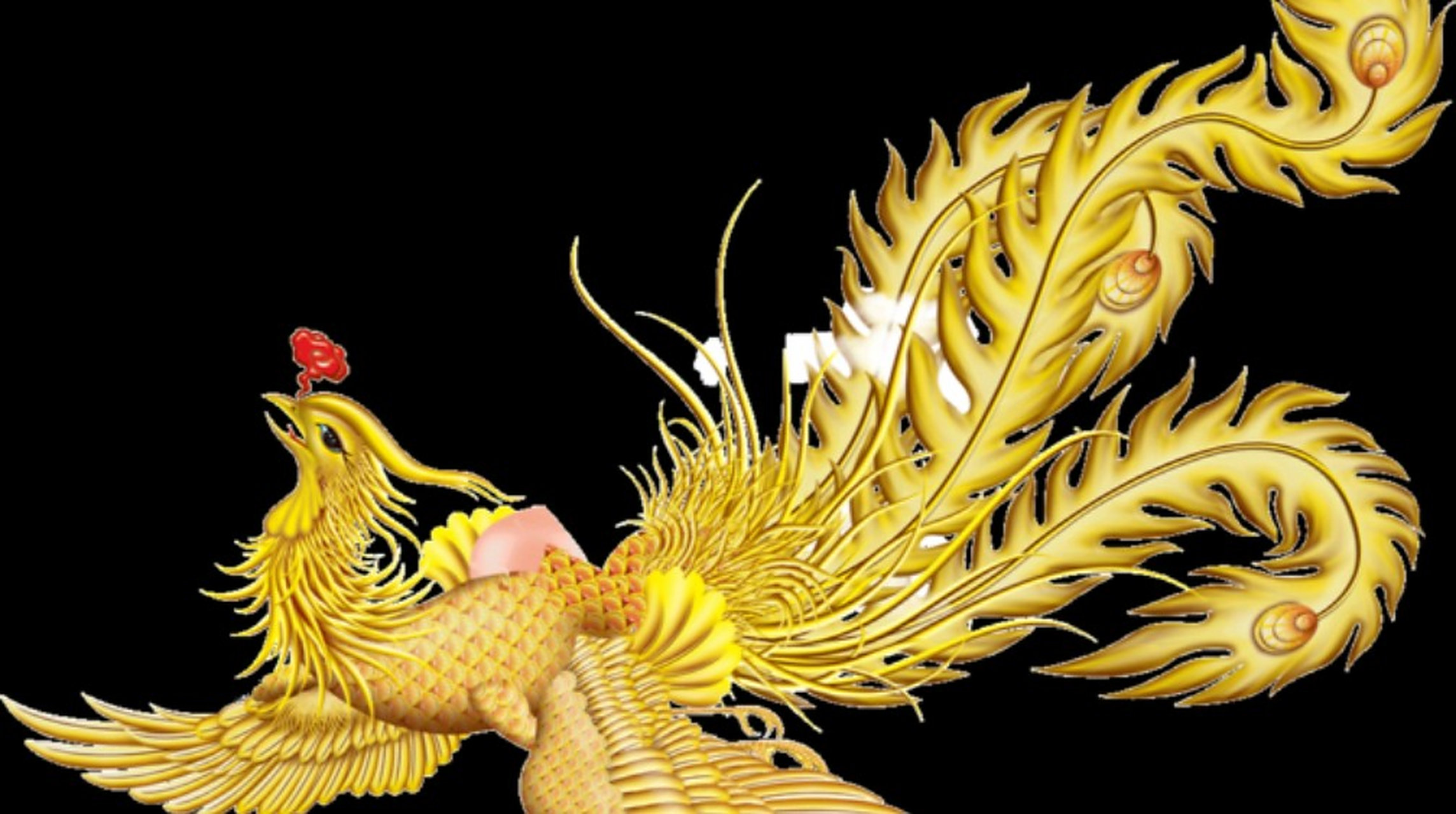 凤凰是《山海经》里记载的一种神鸟,传说凤凰非梧桐不栖,非竹实不食