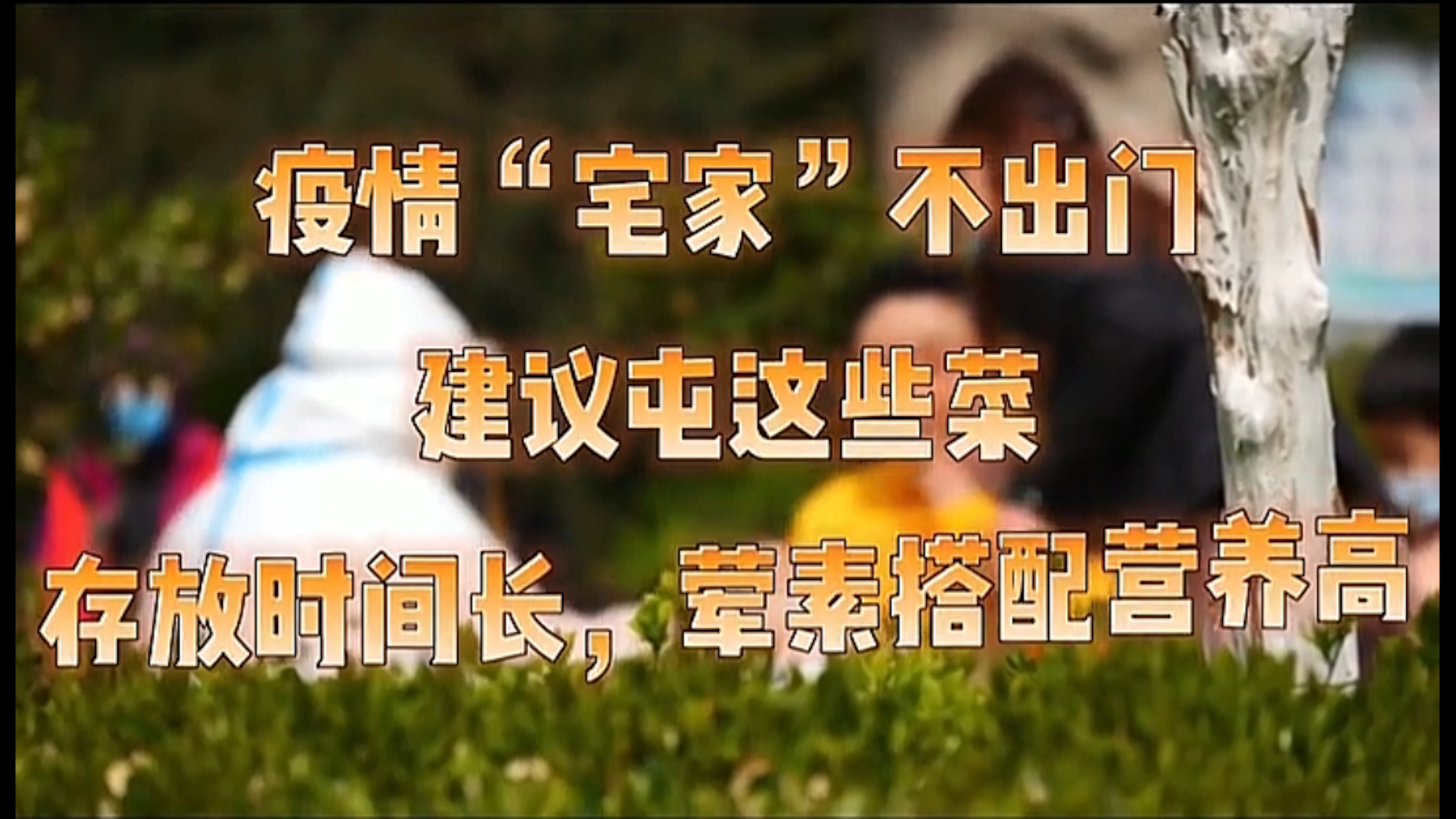 疫情宅家不出门建议屯这些菜,营养价值高,存放时间长!
