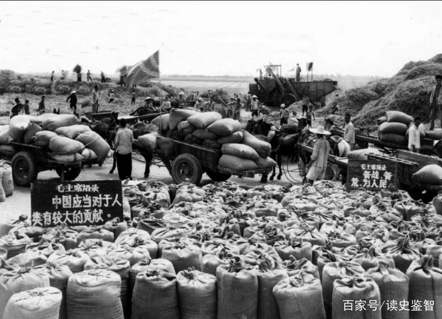 七十年代农民积极交公粮的场景