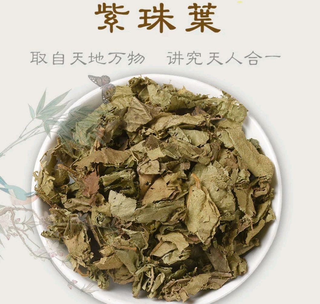 大叶紫珠图片与功效图片