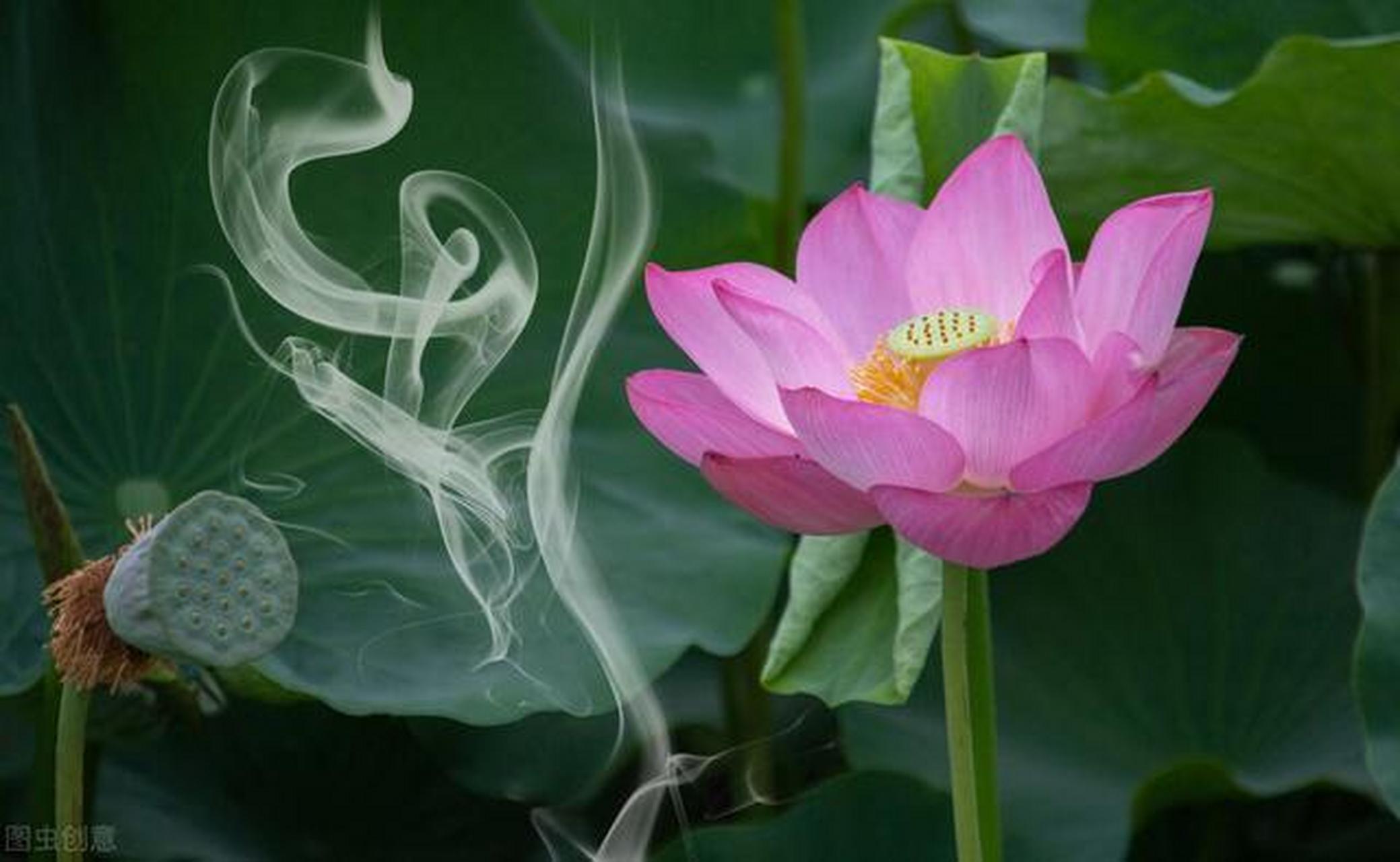 修行即修心 既然修心,心在哪?就像城里有了贼人,但不知在哪?怎么抓.