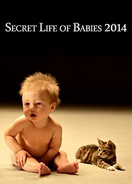 婴儿的秘密生活