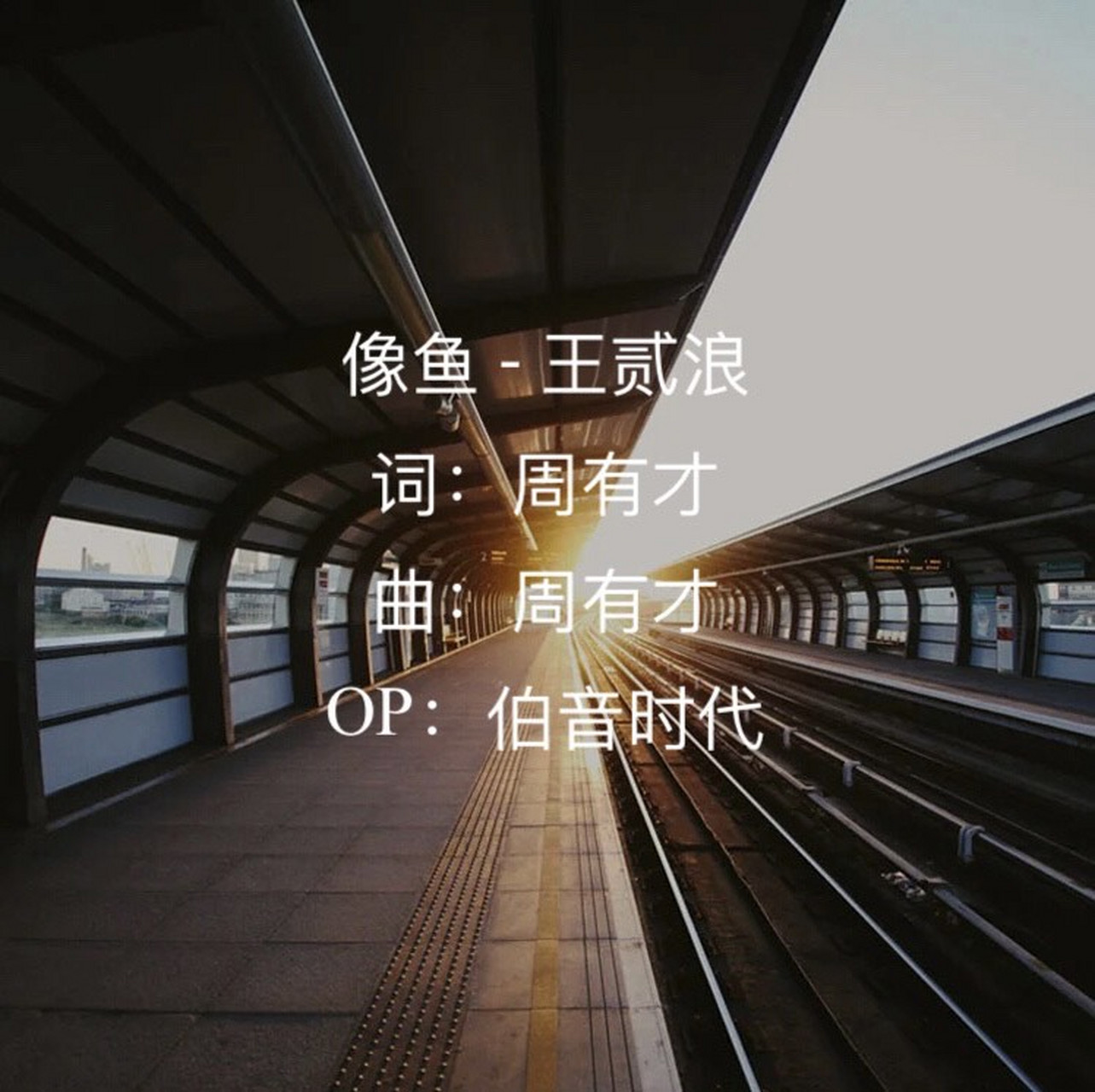 音乐推荐# 《像鱼》.