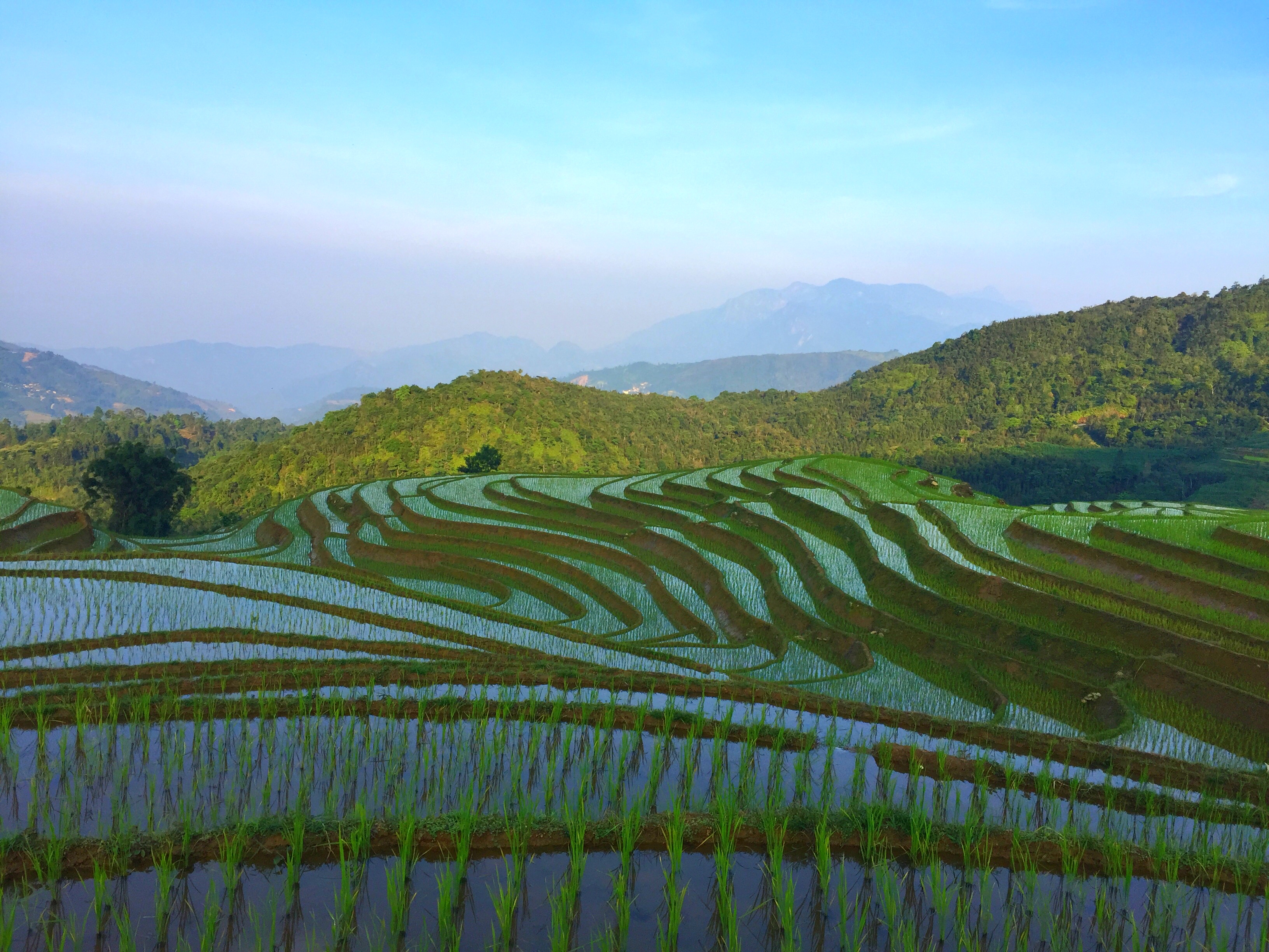 云南红河州金平梯田