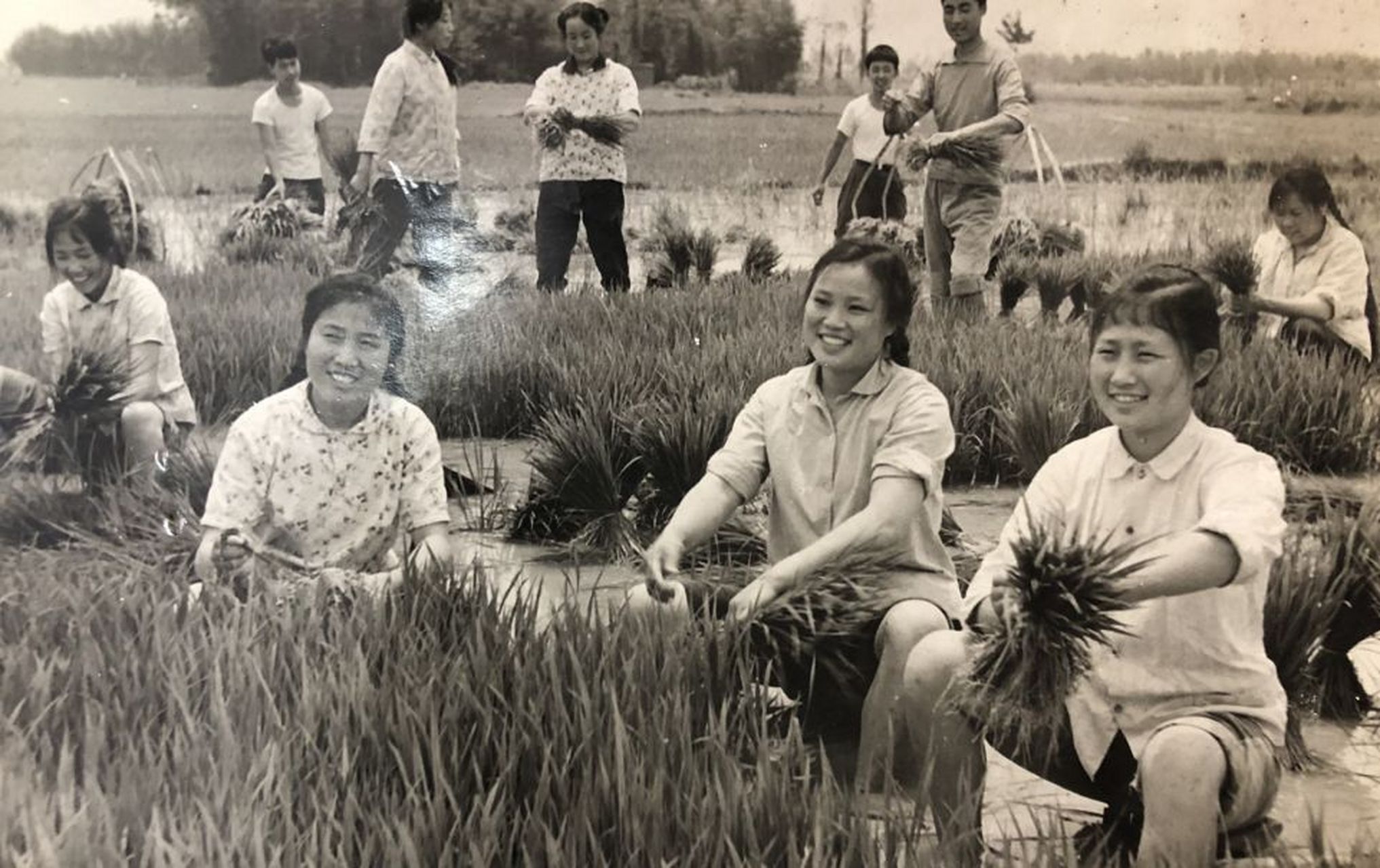 包产到户,按照社会正常发展,包产到户应该是资本主义阶段的产物,包产