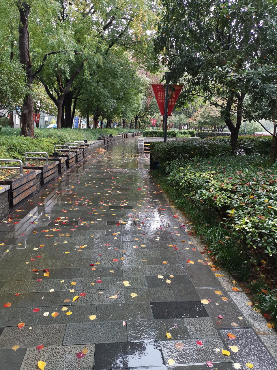 雨后花园图片