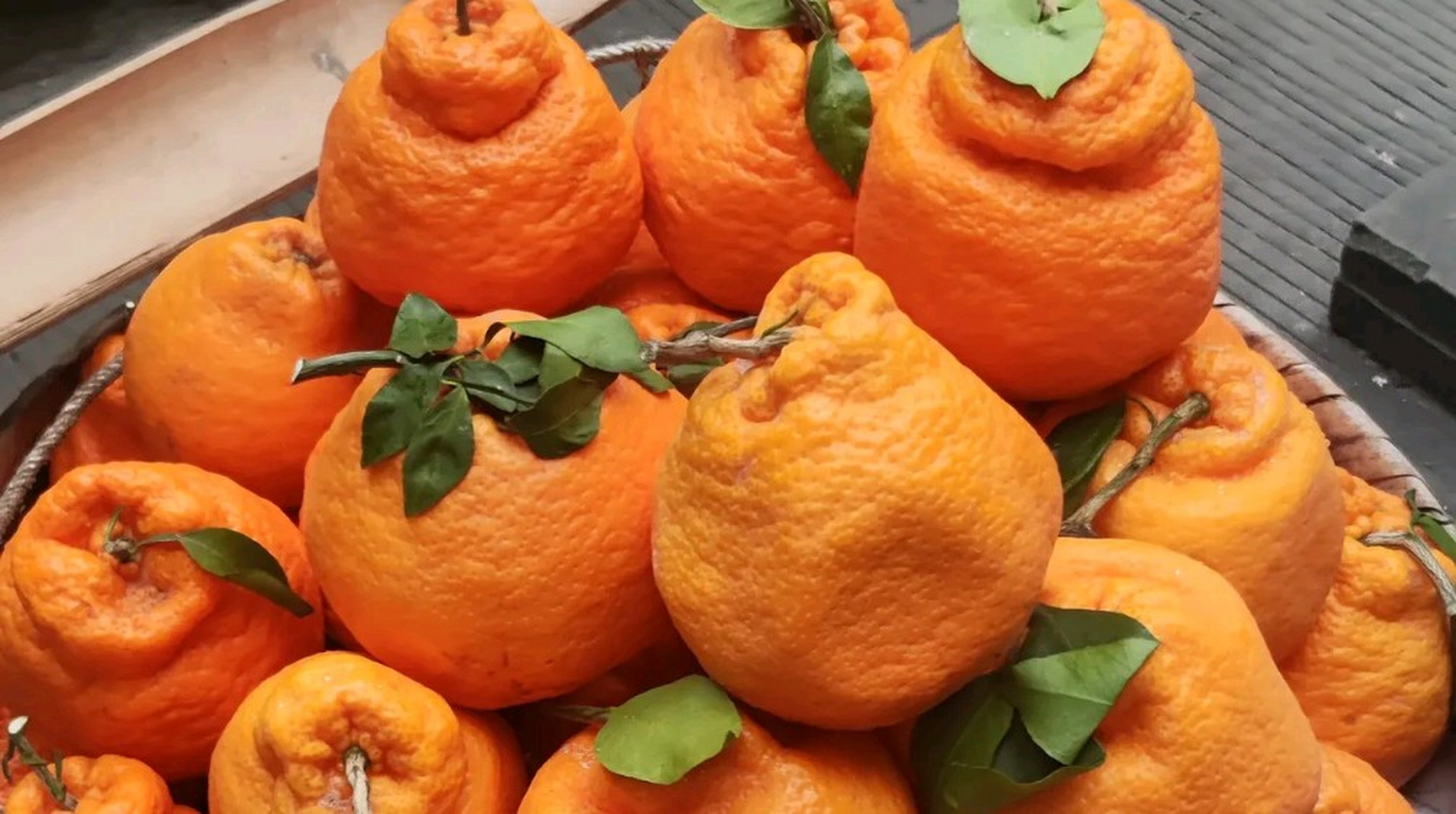 在重庆街头见到了超大的粑粑柑,十元一斤小贩摆摊卖的.