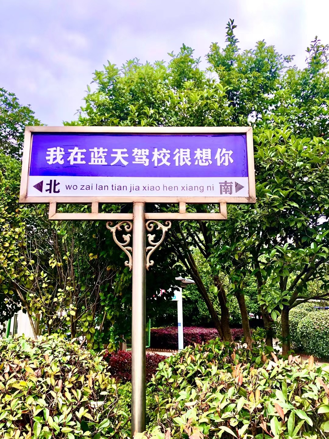 网红打卡地—蓝天驾校