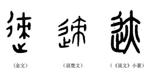 《说文解字》第227课 细说迹字