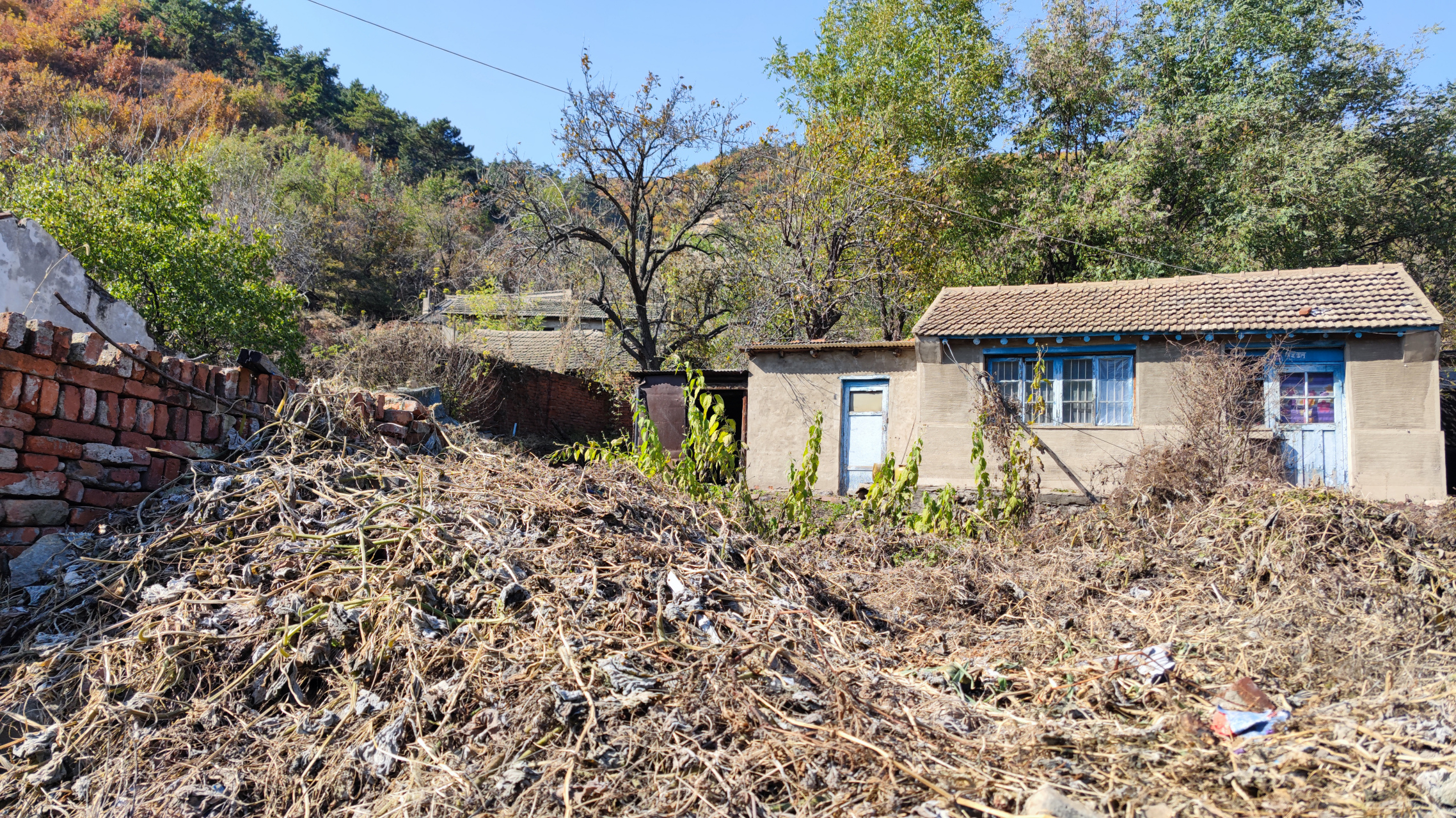 辽阳10大首富弓长岭图片