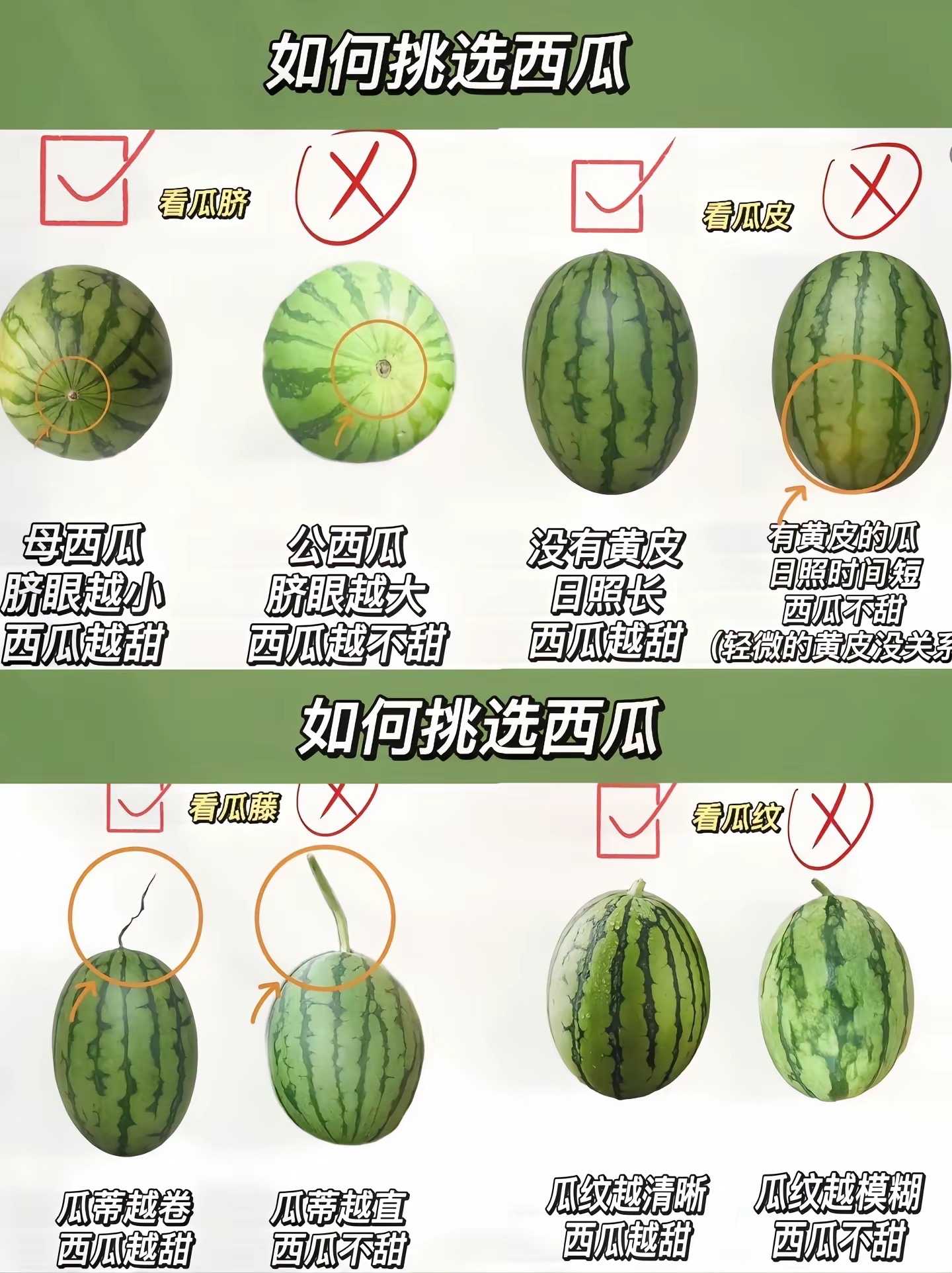 知道如何挑选西瓜吗