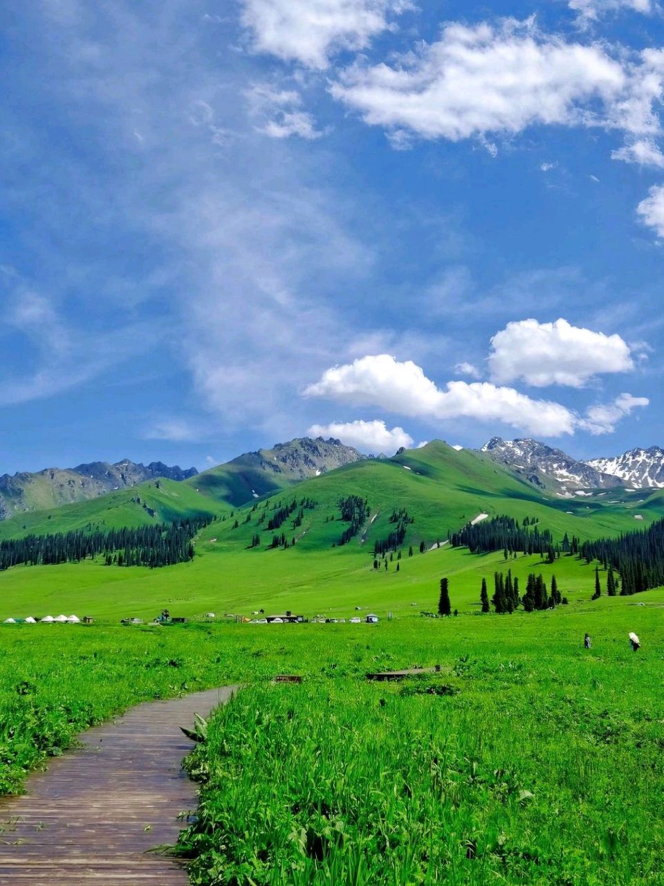夏天92新疆伊犁98真的好像漫画里的样子 新疆伊犁的夏季美景在我