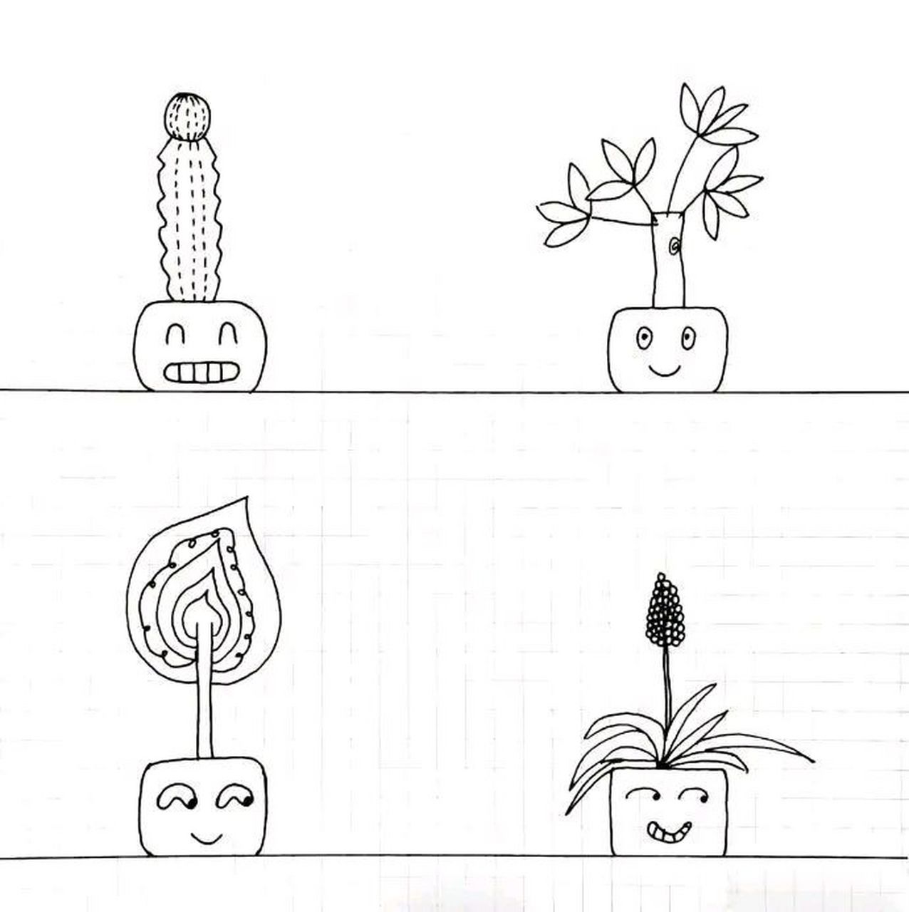 简笔画 | 盆栽植物