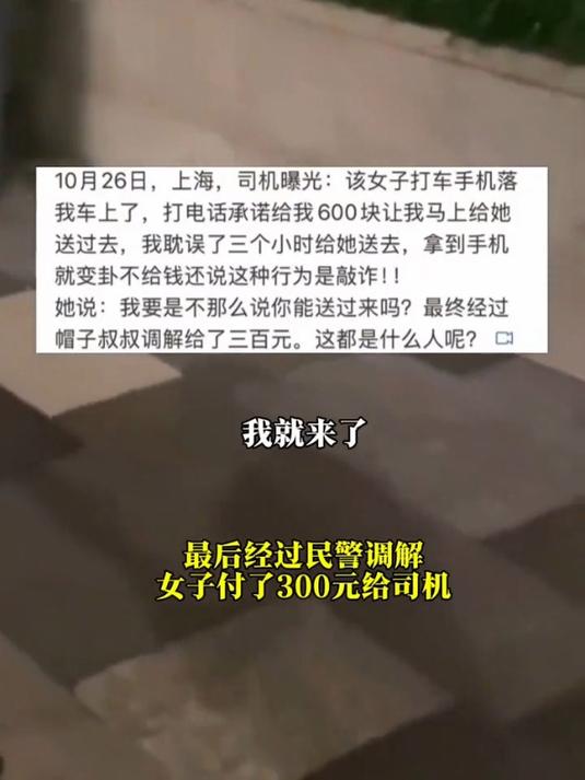 手机掉进厕所(手机掉公厕里怎么消毒)