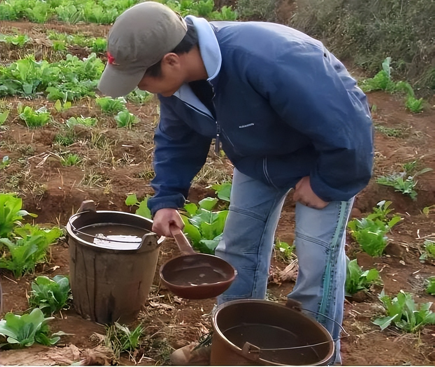 用粪水浇地肯定是不行的,地里长出的庄稼都要上餐桌,粪水又脏又臭