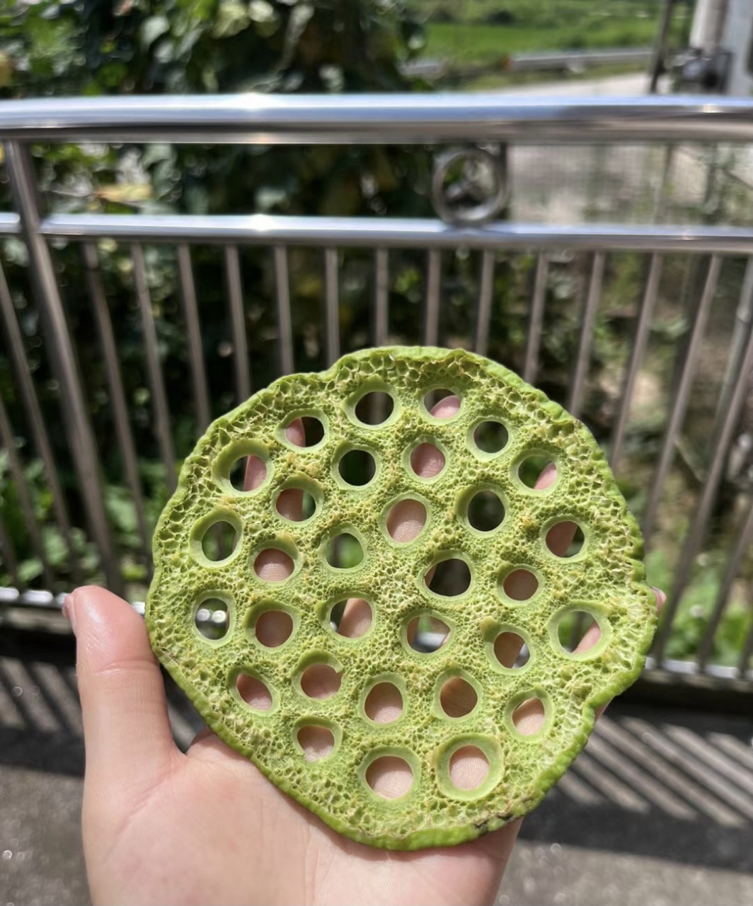 做莲蓬杯垫,密集恐惧症患者请远离,一定要劝听啊