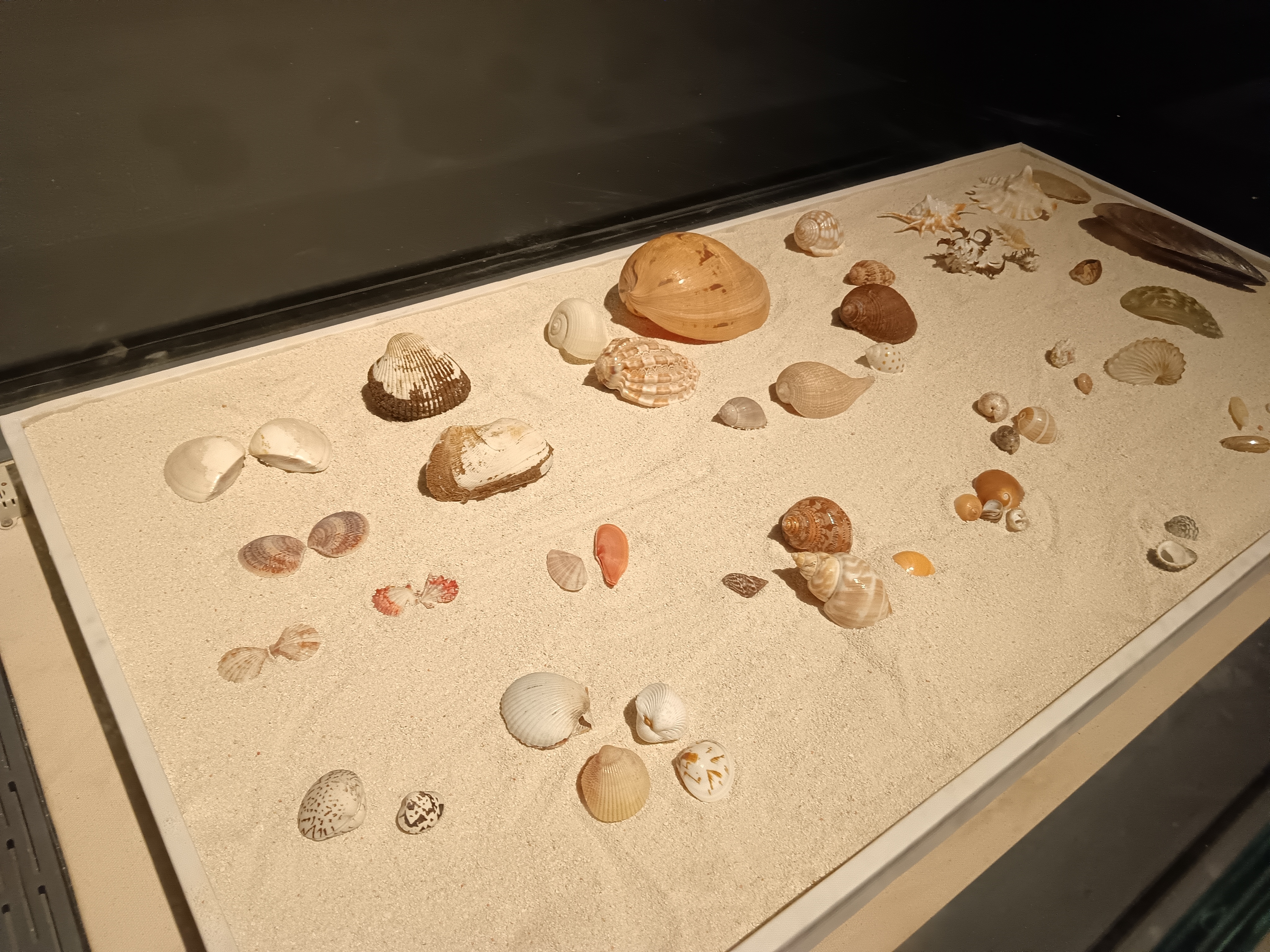 海南省博物馆海捞瓷文物展