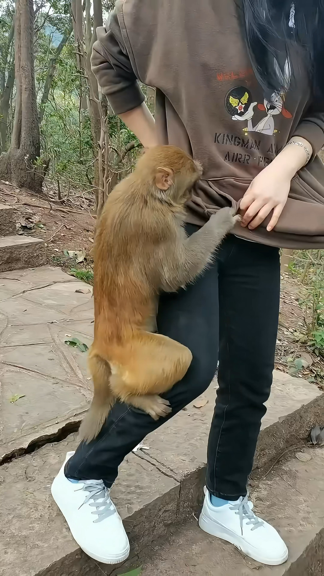猴子说:出门看猴不带吃的,你看个锤子