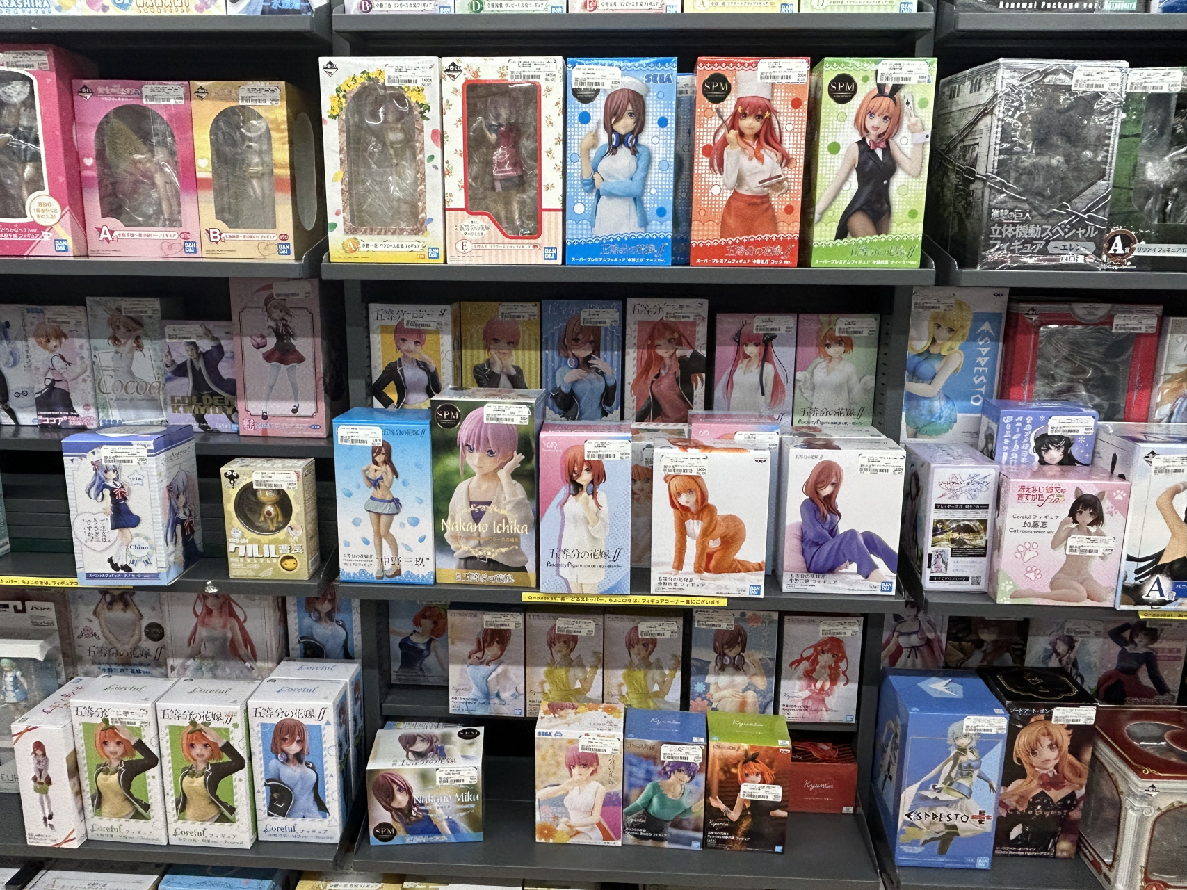 日本景品手办其实便宜的很,900日元也就40多块,而且基本都是这个价格