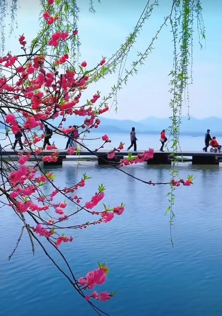 钱塘湖春行风景图片