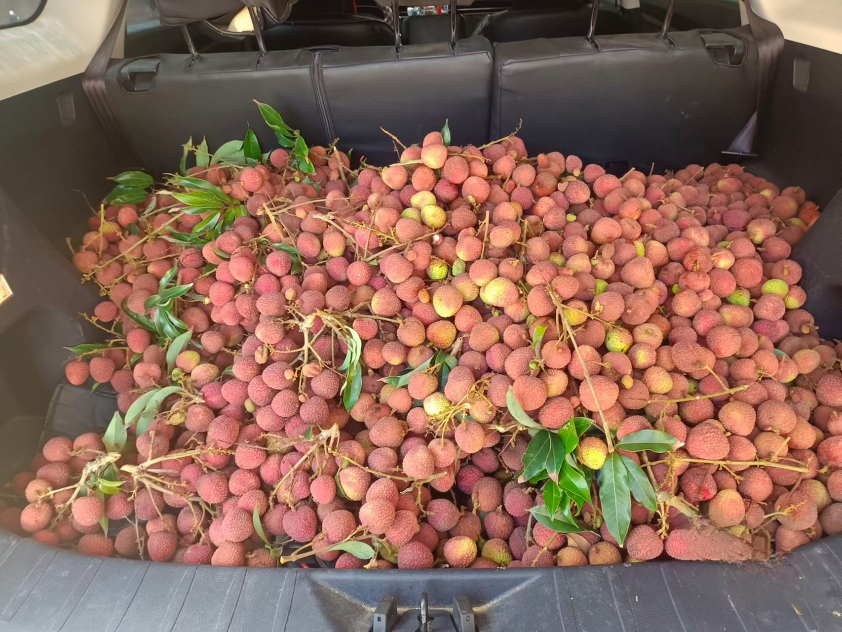 这得吃到啥时候呀