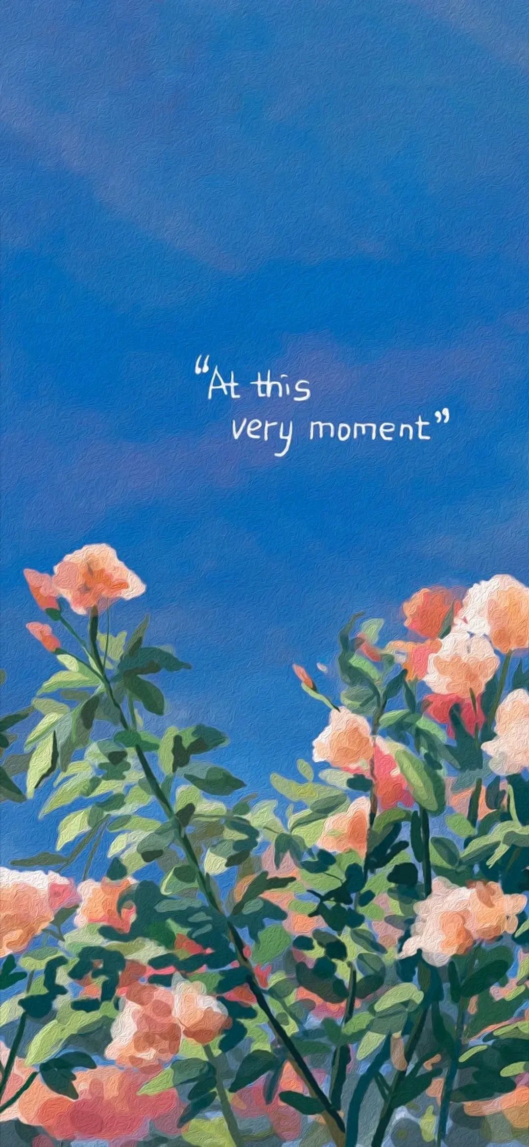 高级感手机壁纸,纯净与美好同在