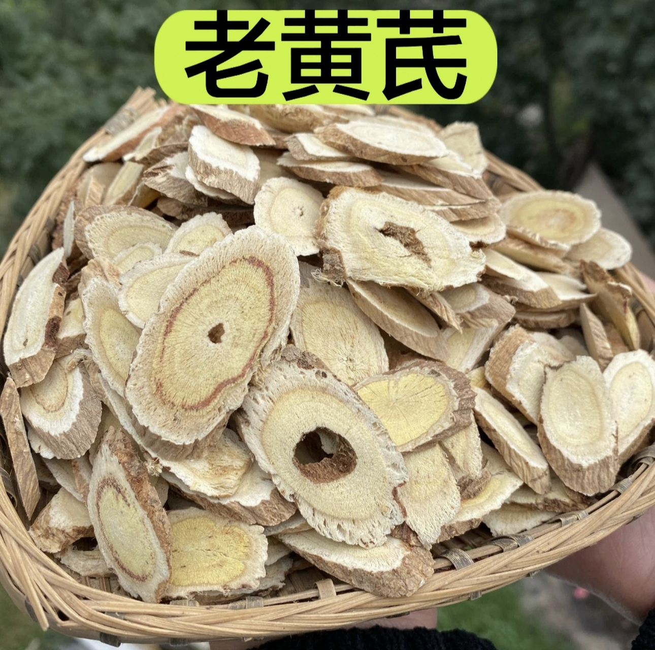 甘肃定西道地中药材野生黄芪#滋补养生# #中药材# #野生的中药材# @百