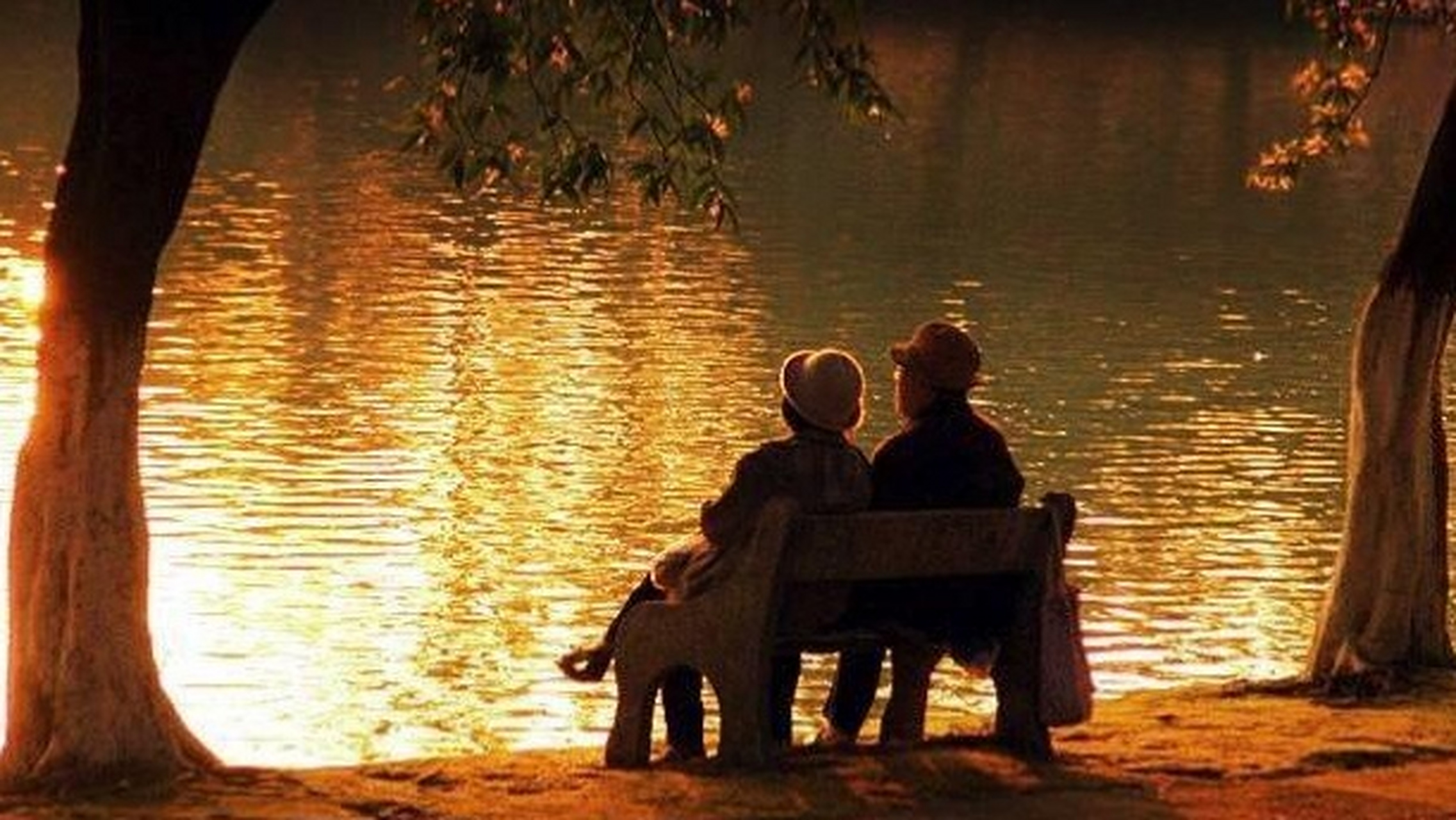 几十载,我依然陪你在身边  傍晚,经常看到一对老年夫妻在小区里散步