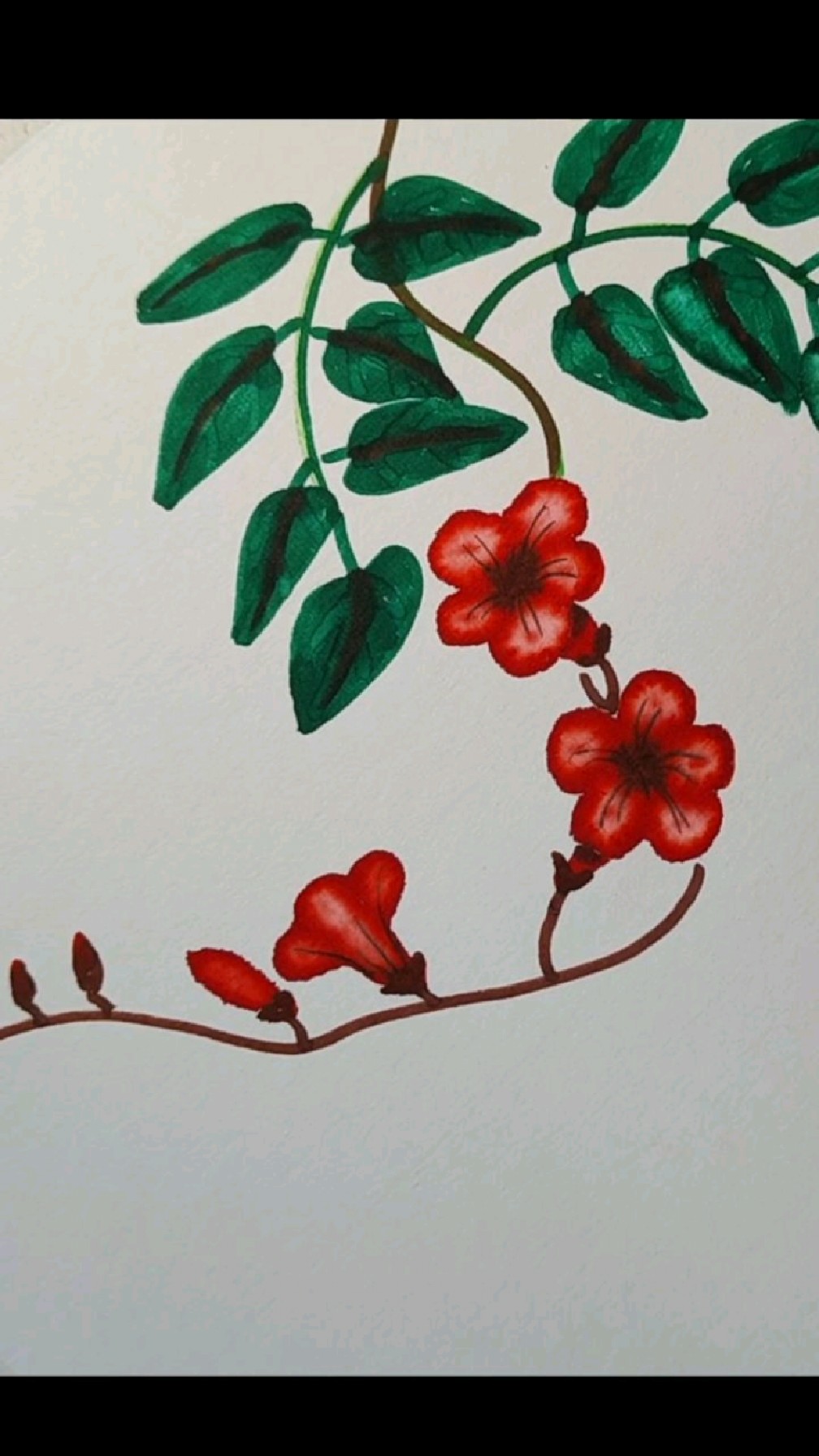 马克笔画花,一看就会!