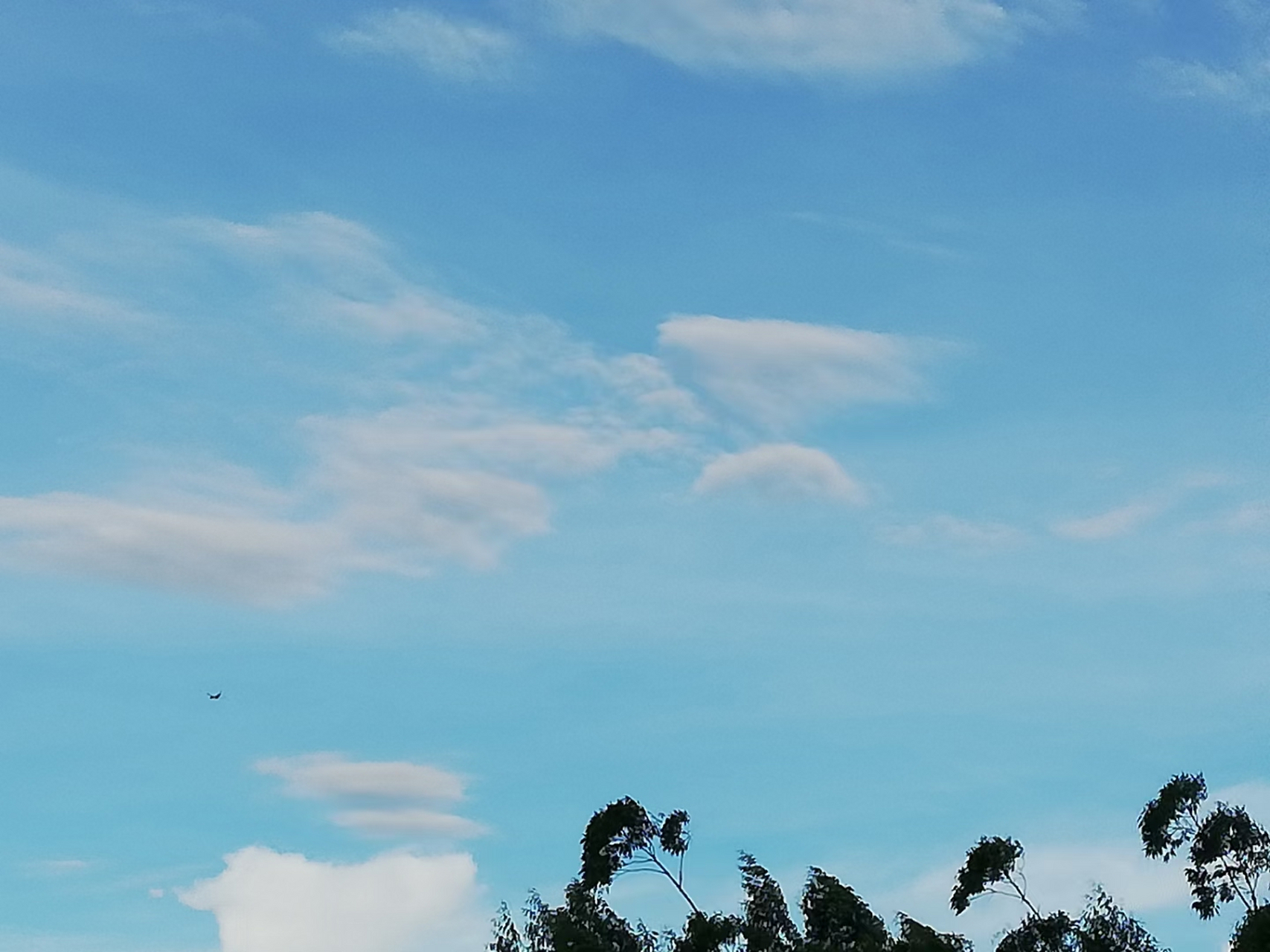 迎着早晨第一缕阳光,开启新的一天,不负韶华,只争朝夕.