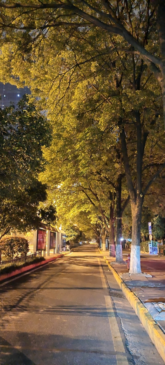 喜欢晚上一个人在城市的马路边,听着熟悉的音乐,何其不是一种享受呢!