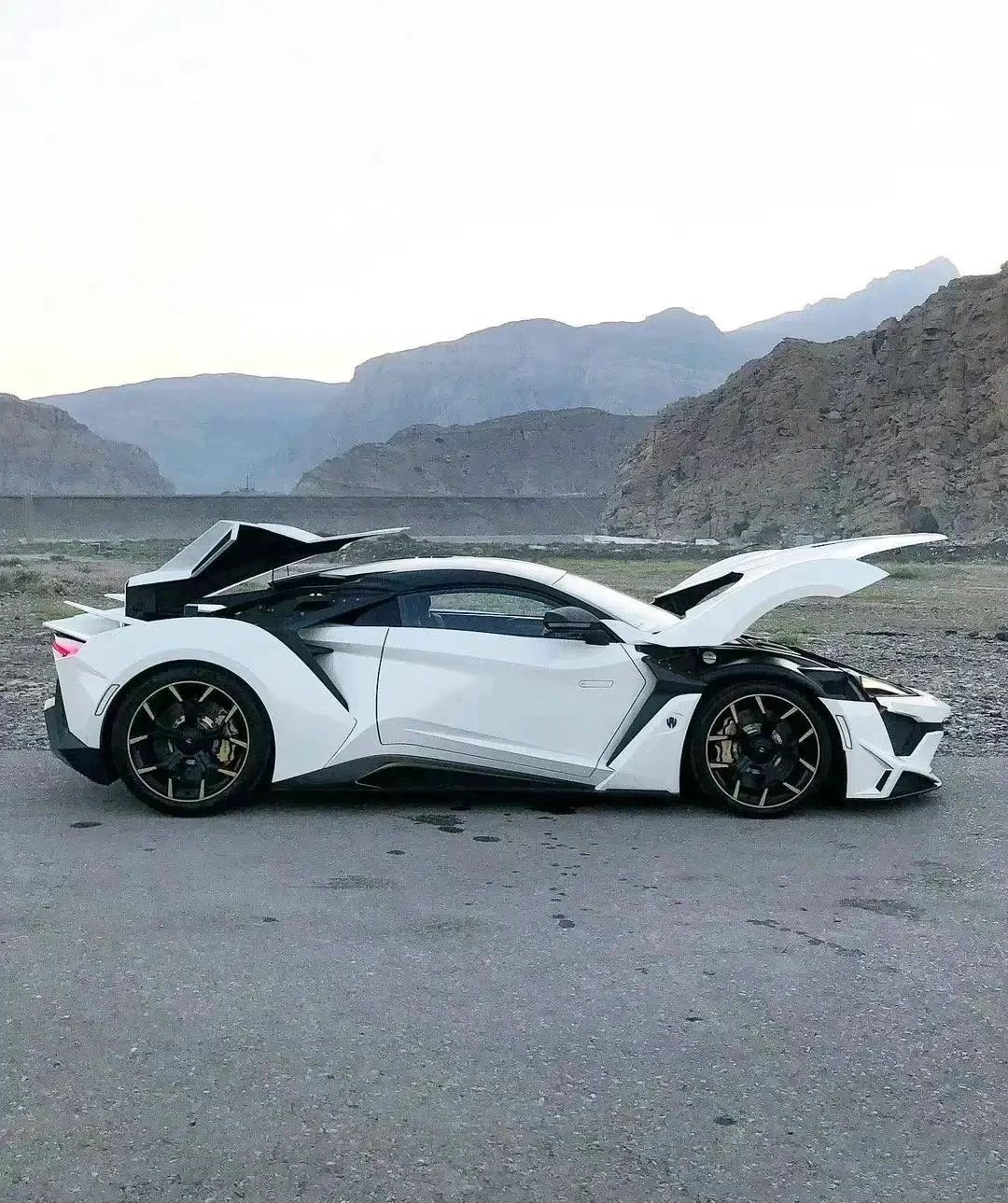 莱肯跑车,跑车中的佼佼者