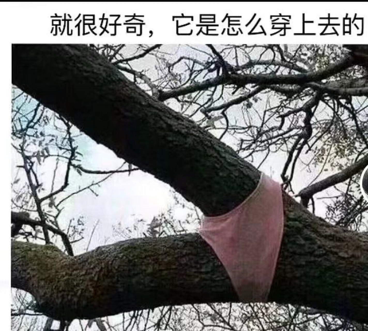 谁能不好奇呢